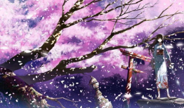 樱花动漫,描绘青春梦想的动漫世界