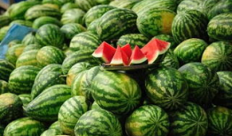 广西吃瓜爆料事件真相,揭秘背后真相与网络舆论的反思